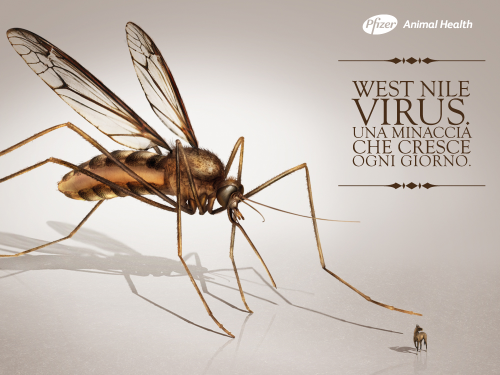copertina convegno_west nile virus